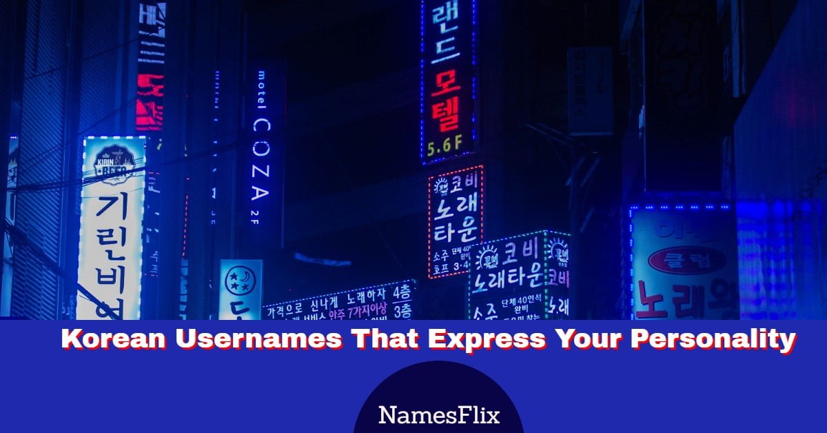 450+ Korean Usernames That Express Your Personality