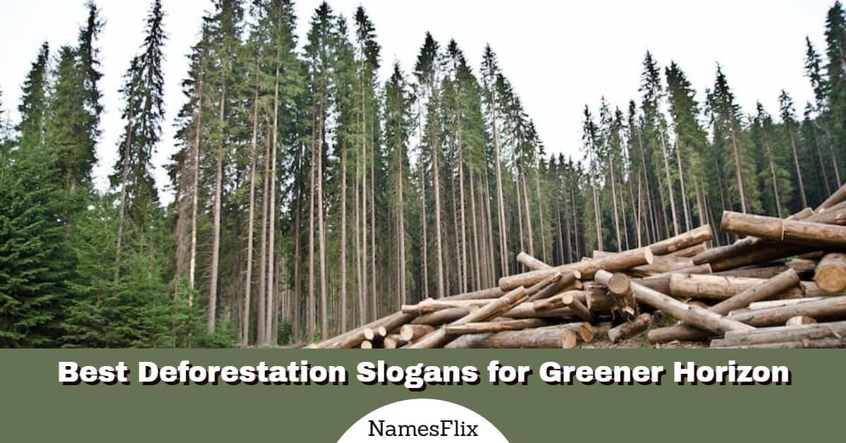 afforestation and deforestation slogans