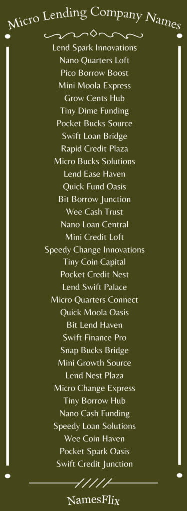 Micro Lending Company Names