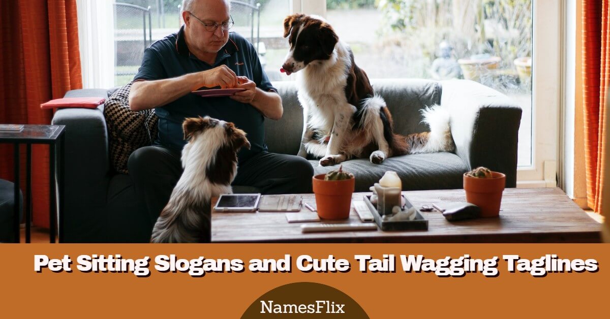1040+ Pet Sitting Slogans and Cute Tail Wagging Taglines