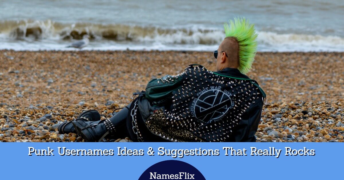600+ Punk Usernames Ideas & Suggestions That Really Rocks