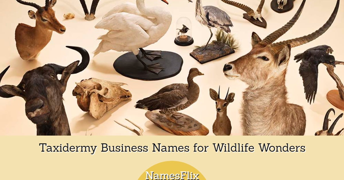 800+ Taxidermy Business Names for Wildlife Wonders