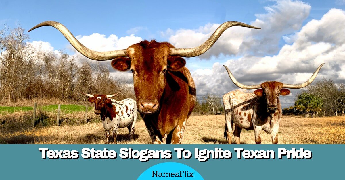 465+ Texas State Slogans To Ignite Texan Pride