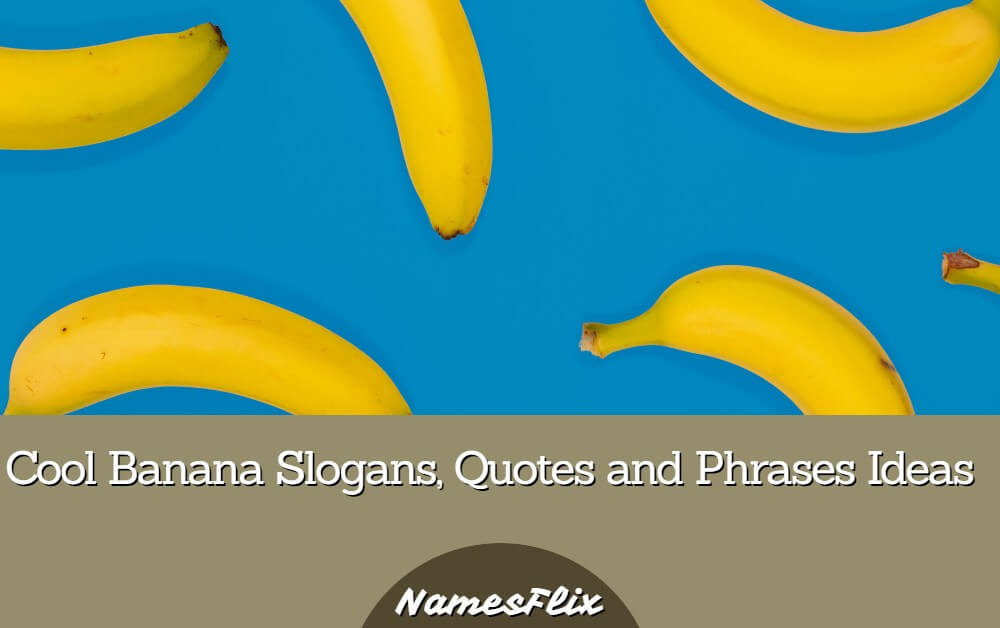 720+ Cool Banana Slogans, Quotes and Phrases Ideas
