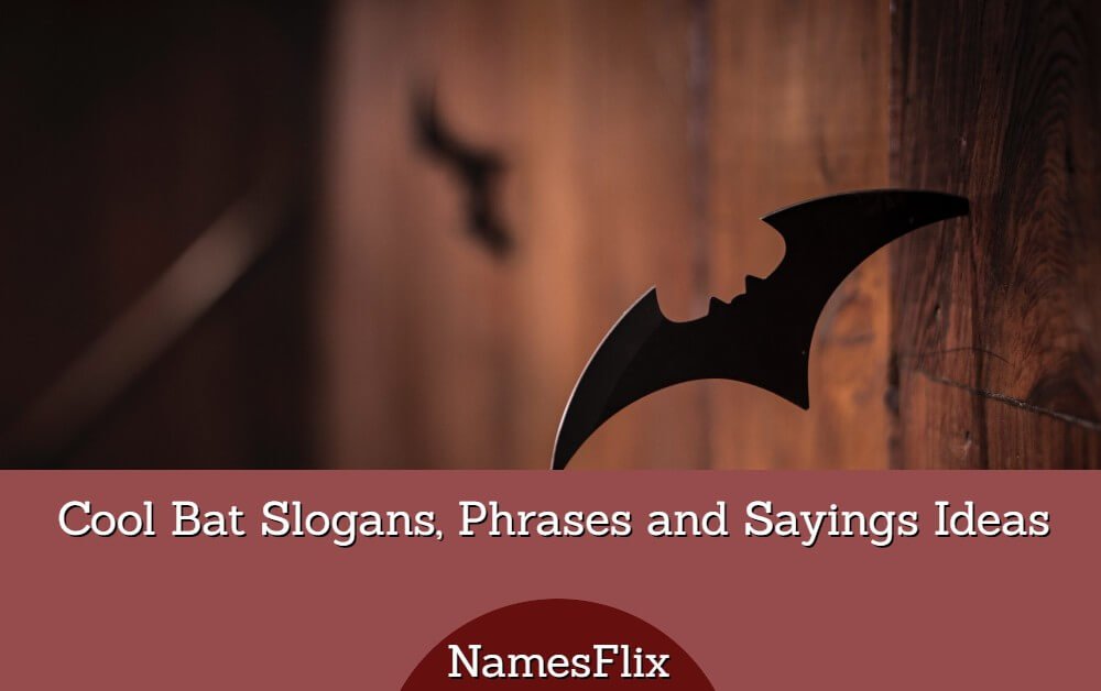 785+ Cool Bat Slogans, Phrases and Sayings Ideas