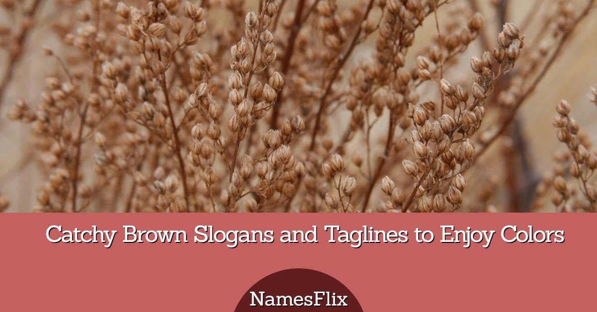 565+ Catchy Brown Slogans and Taglines to Enjoy Colors