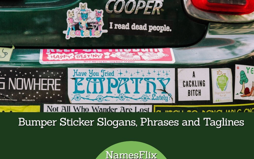 700+ Bumper Sticker Slogans, Phrases and Taglines