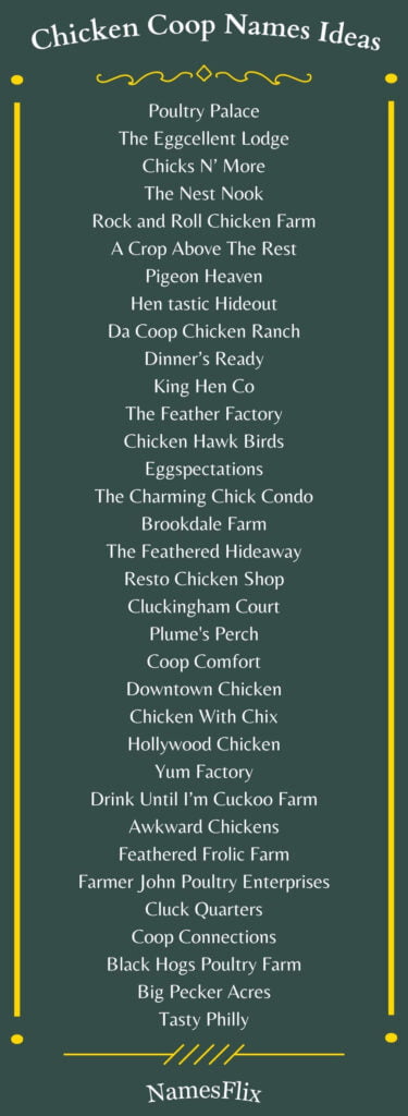 Chicken Coop Names Ideas