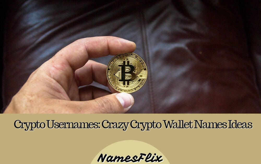 Crypto Usernames: 760+ Crazy Crypto Wallet Names Ideas