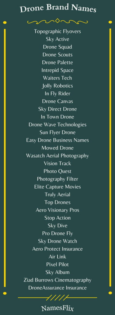 Drone Brand Names