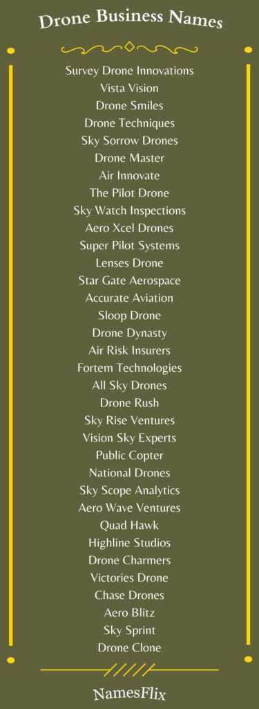 Drone Business Names