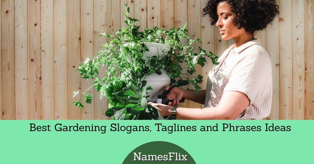 615+ Best Gardening Slogans, Taglines and Phrases Ideas
