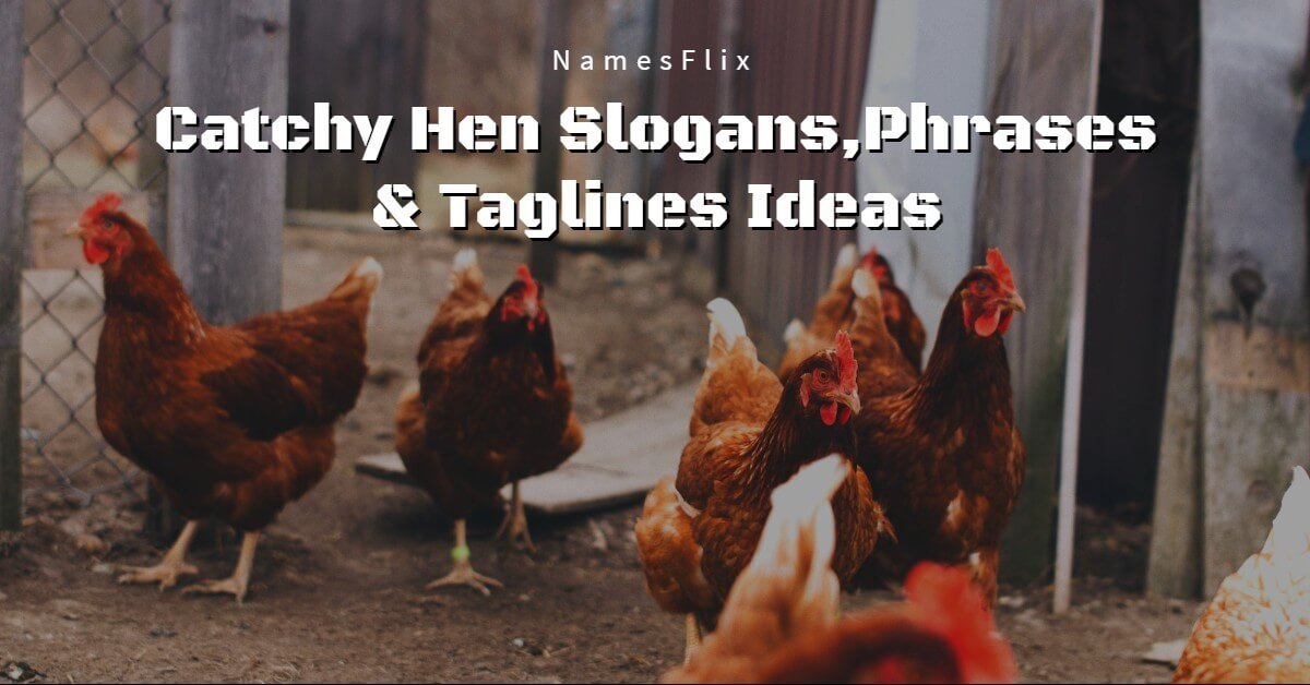 820+ Catchy Hen Slogans, Phrases & Taglines Ideas