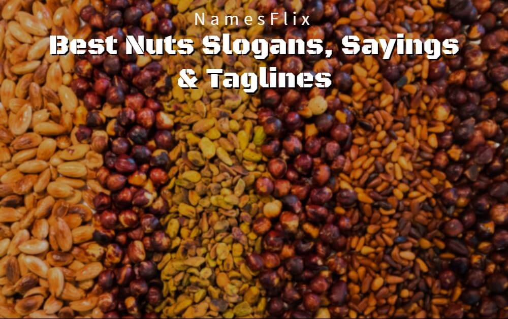 640+ Best Nuts Slogans, Sayings & Taglines