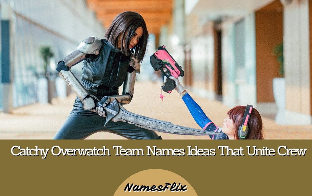 999+ Catchy Overwatch Team Names Ideas That Unite Crew