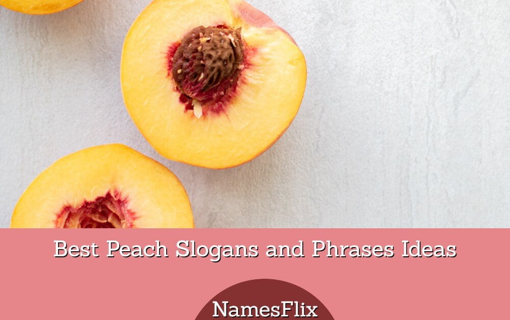 565+ Best Peach Slogans and Phrases Ideas