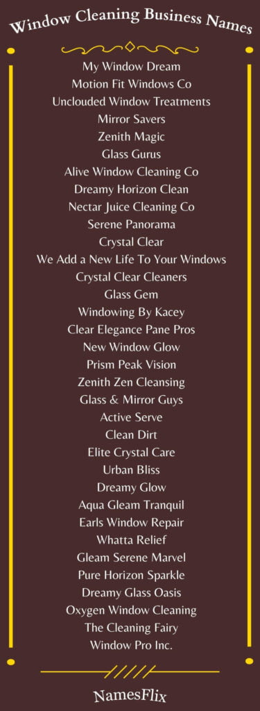 Window Cleaning Business Names