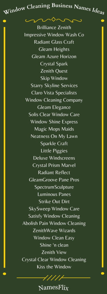 Window Cleaning Business Names Ideas