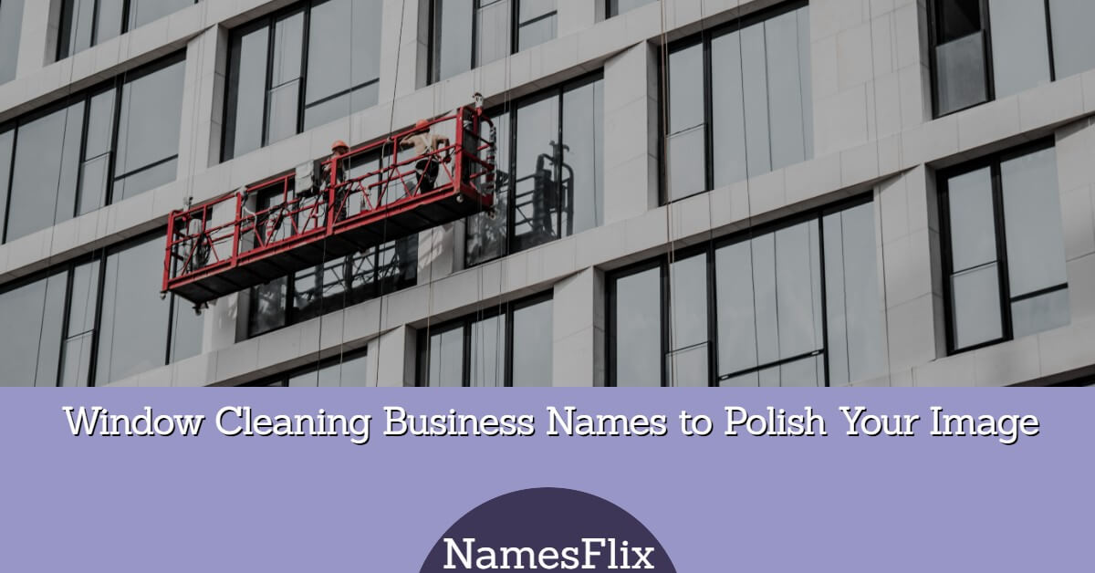 1200+ Window Cleaning Business Names to Polish Your Image
