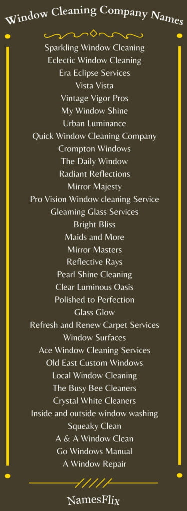 Window Cleaning Company Names