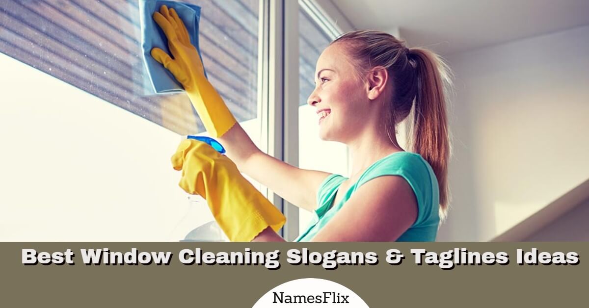 590+ Best Window Cleaning Slogans & Taglines Ideas
