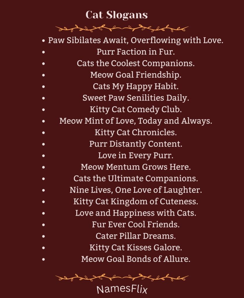 Cat Slogans