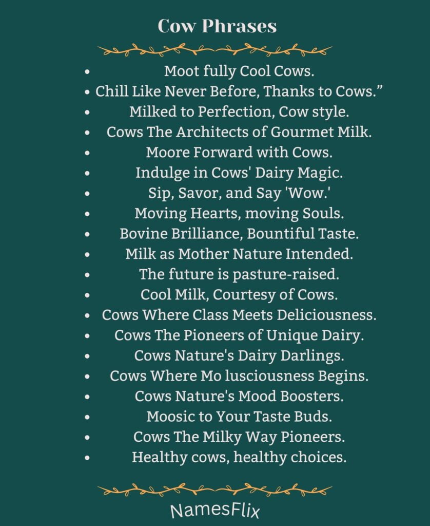 Cow Phrases