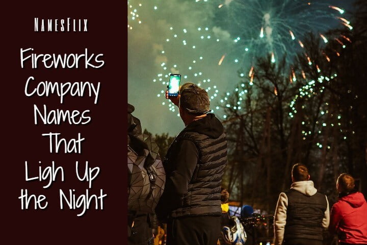 1200+ Fireworks Company Names Ideas That Light Up the Night