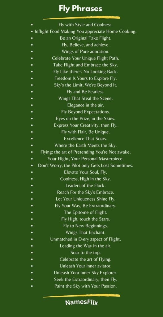 Fly Phrases