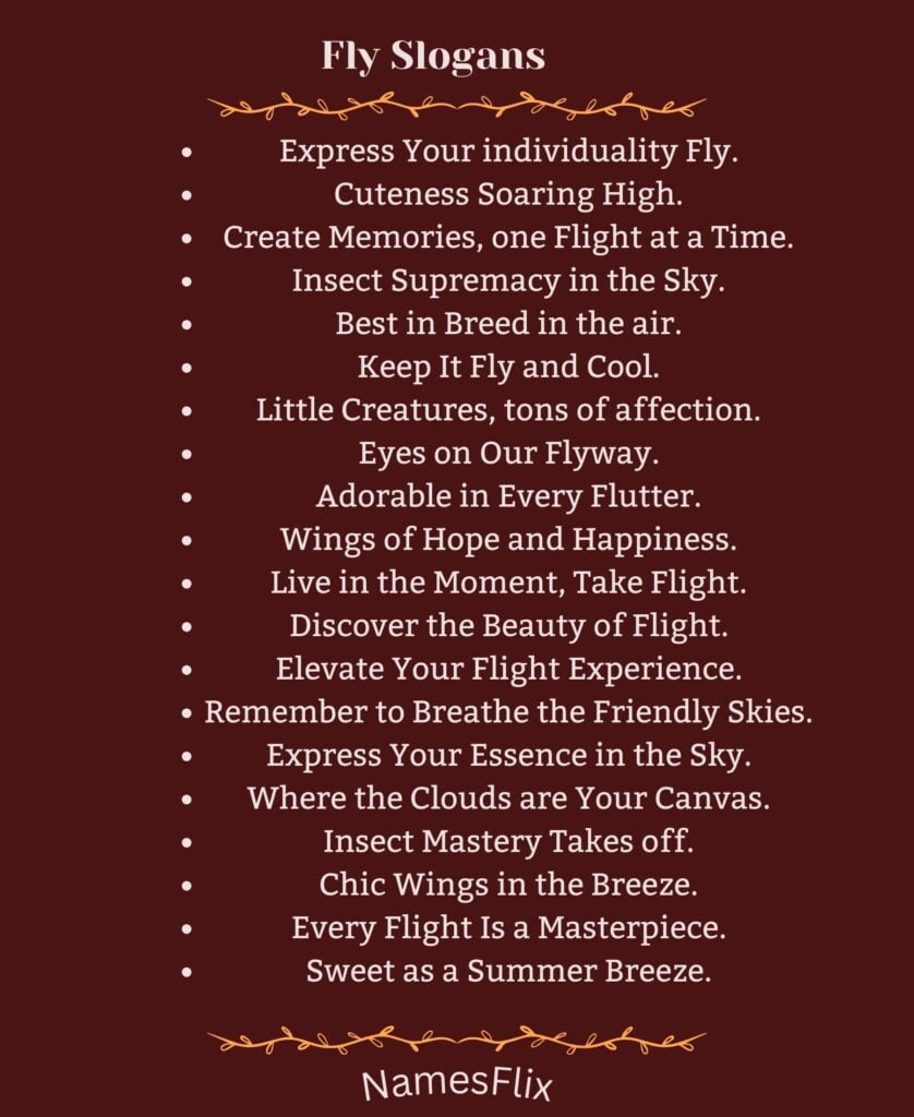 Fly Slogans