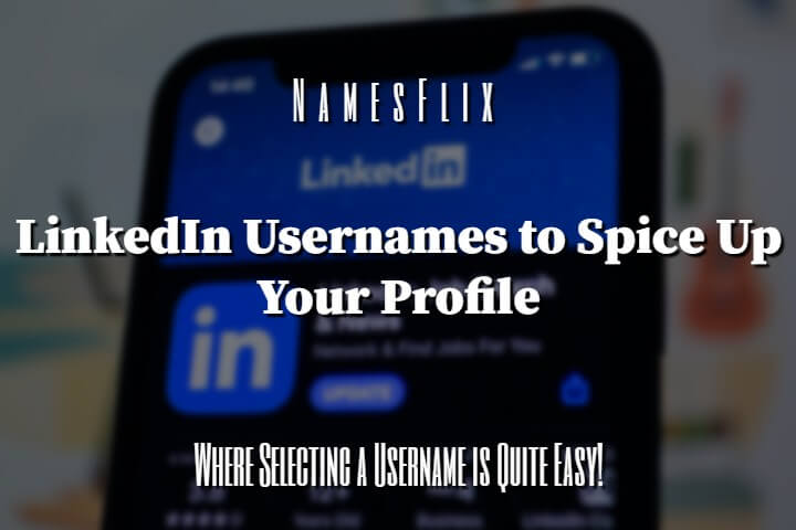 620+ LinkedIn Usernames Ideas to Spice Up Your Profile