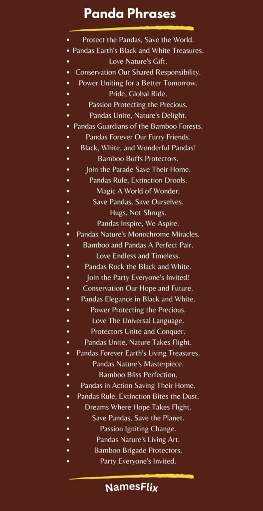 Panda Phrases