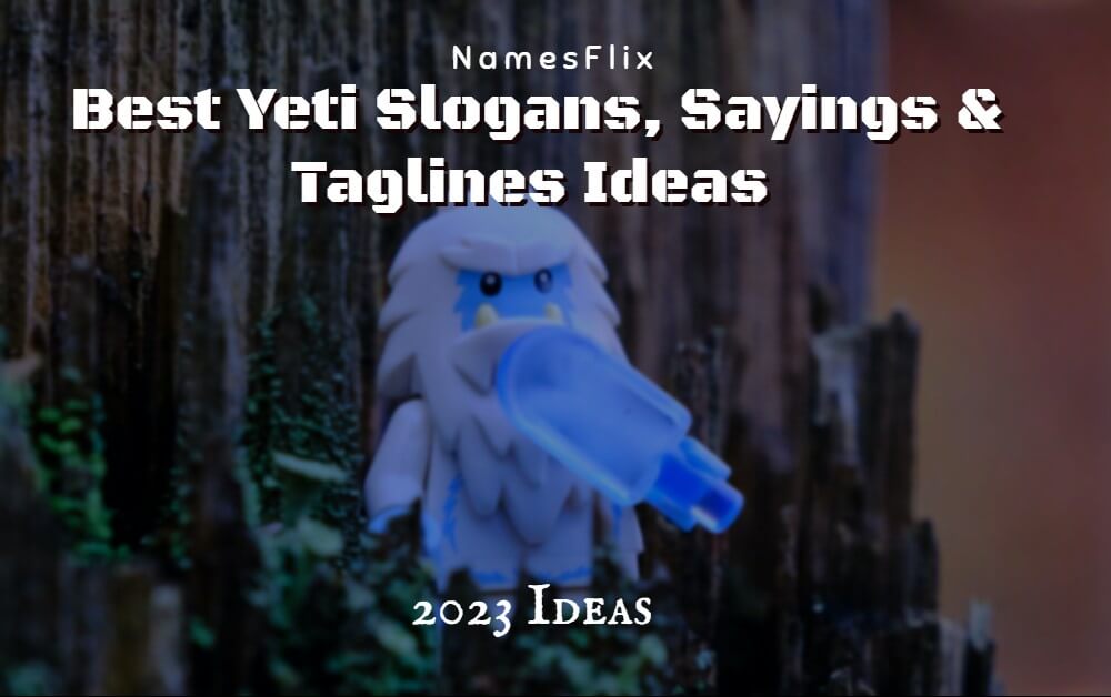 640+ Best Yeti Slogans, Sayings & Taglines Ideas