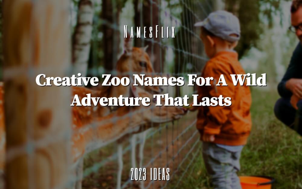 1300+ Creative Zoo Names for a Wild Adventure That Lasts