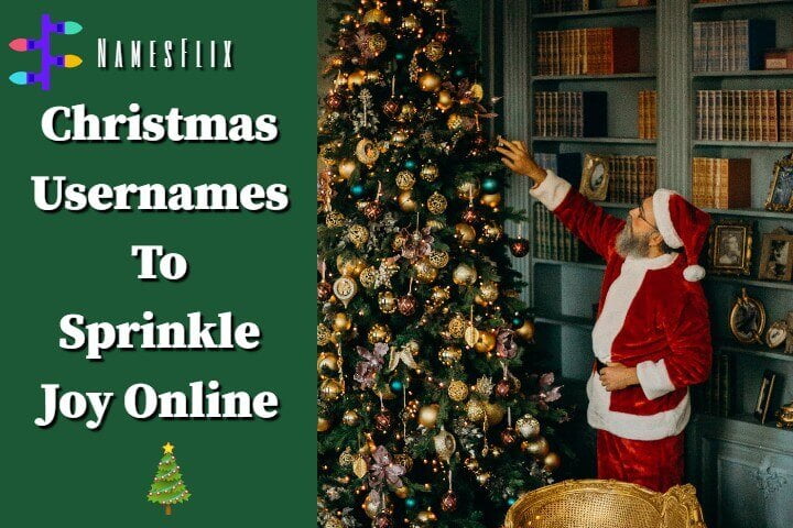 850+ Christmas Usernames Ideas to Sprinkle Joy Online