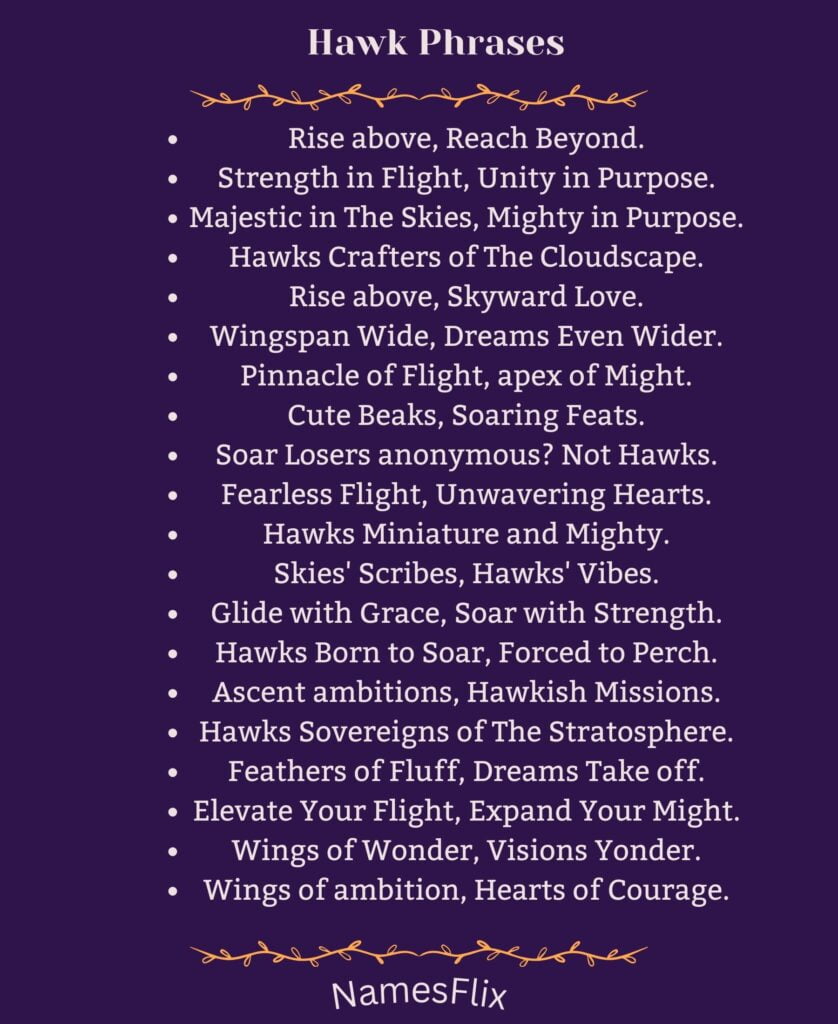 Hawk Phrases