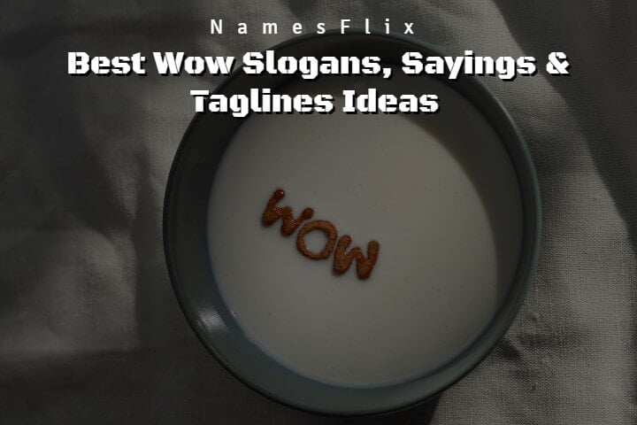 655+ Best Wow Slogans, Sayings & Taglines Suggestions