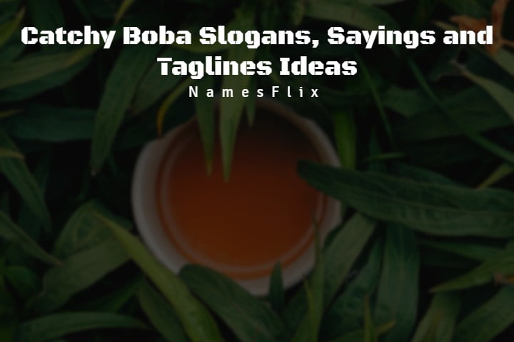 535+Catchy Boba Slogans, Sayings and Taglines Ideas