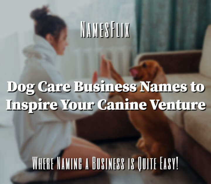 Pet care business name ideas