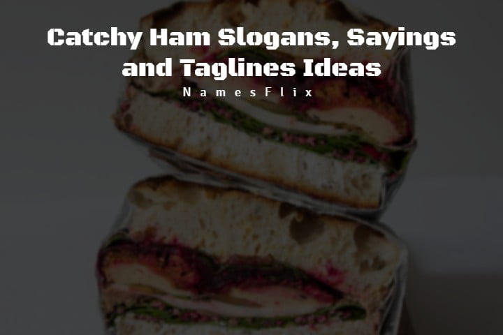 520+ Catchy Ham Slogans, Sayings and Taglines Ideas
