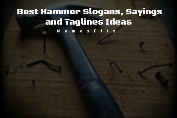 565+ Best Hammer Slogans, Sayings and Taglines Ideas