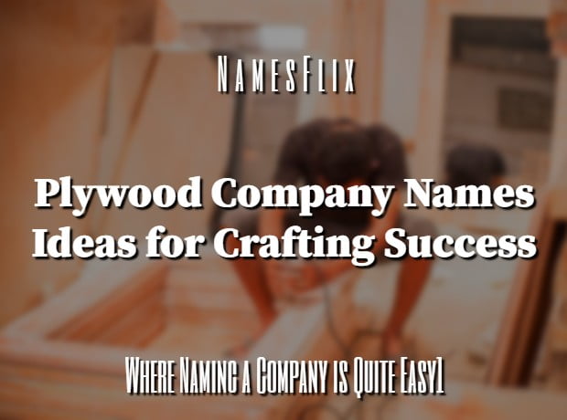 800+ Plywood Company Names Ideas for Crafting Success