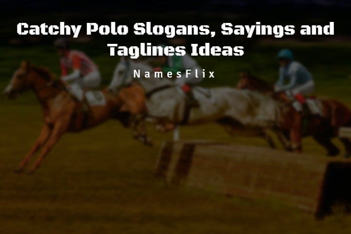 550+ Catchy Polo Slogans, Sayings and Taglines Ideas