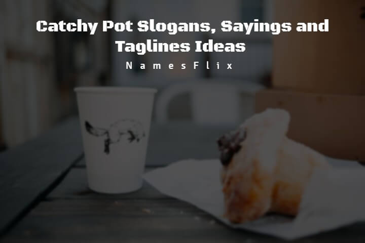 560+ Catchy Pot Slogans, Sayings and Taglines Ideas