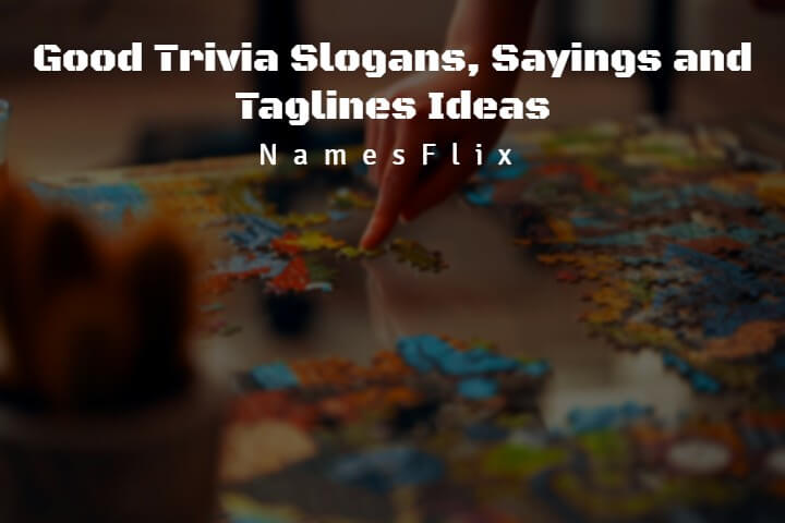 575+ Good Trivia Slogans, Sayings and Taglines Ideas