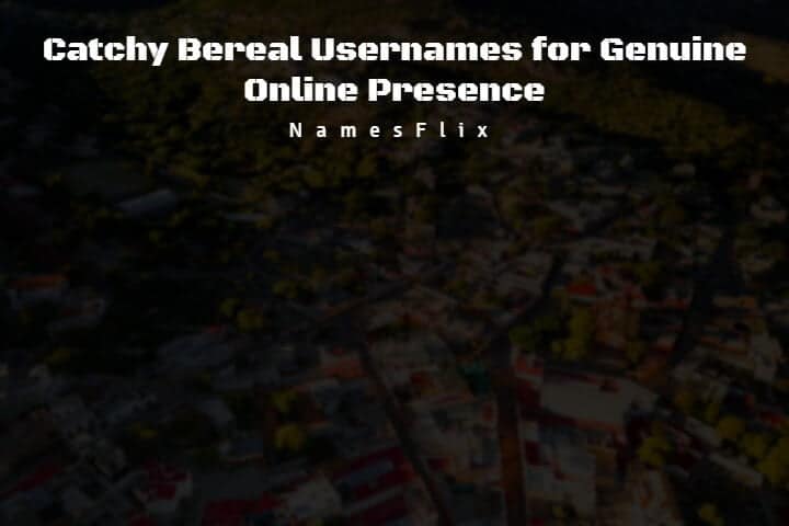825+ Catchy Bereal Usernames for Genuine Online Presence