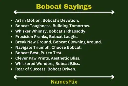 Bobcat-Sayings