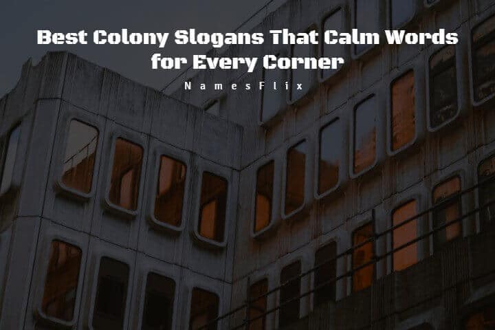 505+ Best Colony Slogans That Calm Words for Every Corner