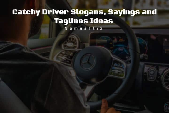Driver Slogans: 625+ Catchy Sayings and Taglines Ideas