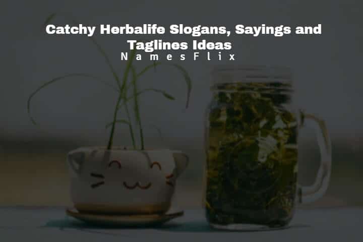 Herbalife Slogans: 515+ Catchy Sayings and Taglines Ideas